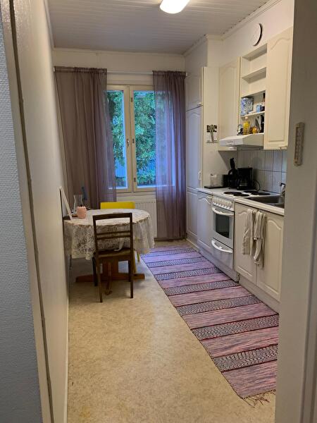 1 h + k, 30 neliötä, Nekala, 495€/kk
