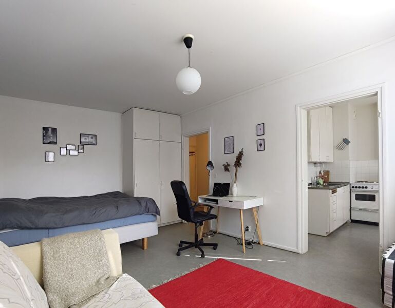 Cozy 30.5 sq. m. furnished studio apartment with a separate kitchen