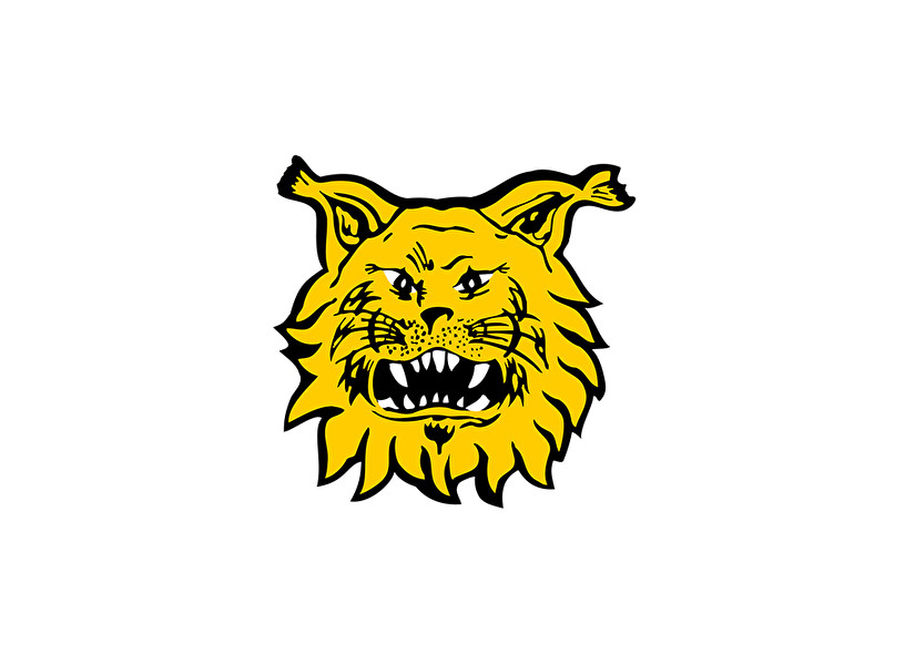 ilves