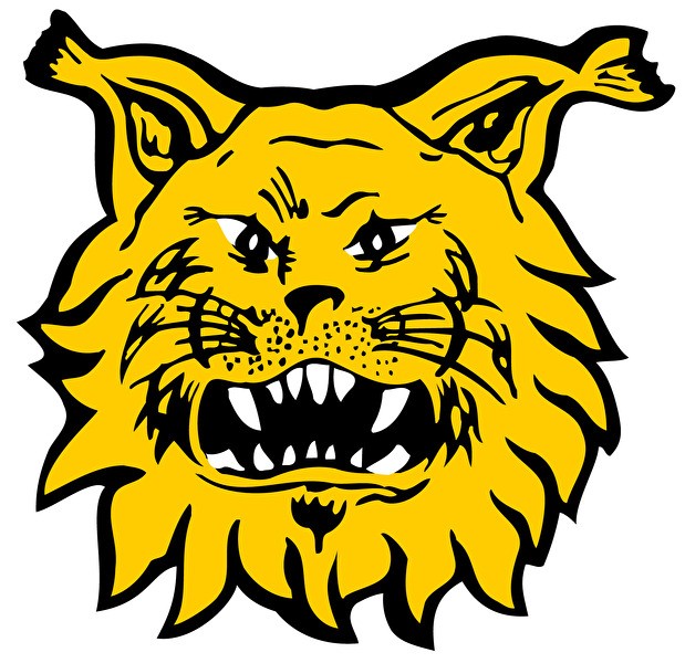 Ilves jääkiekko